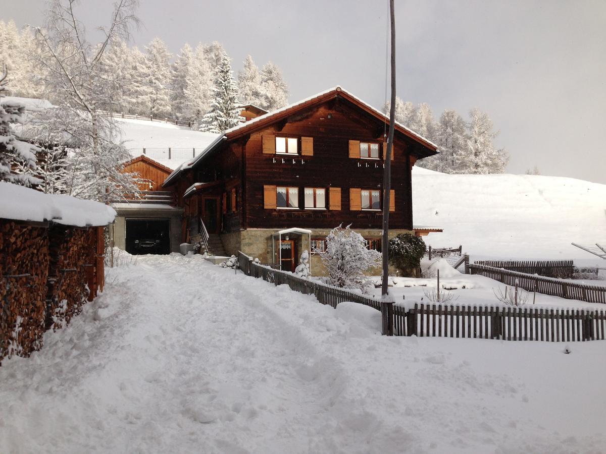 Chalet Nidus Montis Casti-Wergenstein Екстериор снимка